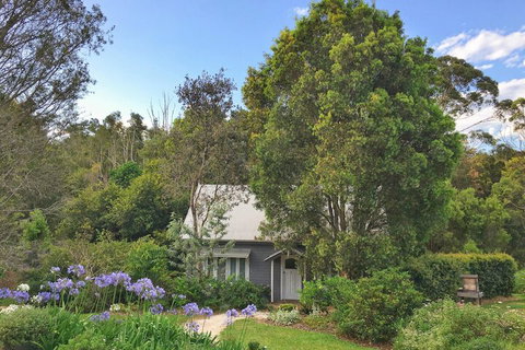 Abelia House - Accommodation Main Beach 1