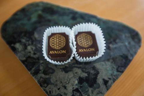 Avalon City Retreat - Accommodation Main Beach 4