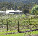 Eureka Farm - Accommodation Main Beach