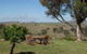 Wantana Cottage Farmstay - thumb 0