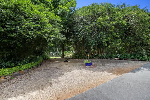 Maleny Hills Motel - Accommodation Main Beach 5