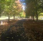 A peaceful cabin in the country - Accommodation Main Beach