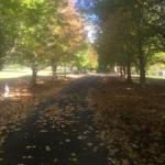 A Peaceful Cabin In The Country - Accommodation Main Beach 0