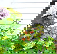 White House - Accommodation Main Beach