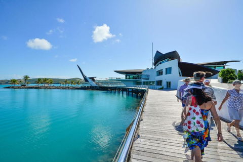 Yacht Club Villa 33 Serenity 4 Bedroom 4 Bathroom House Ocean Views 2 Buggies - Accommodation Main Beach 4