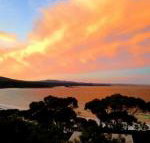 DOLPHIN LOOKOUT COTTAGE amazing views of the Bay of Fires - Accommodation Main Beach