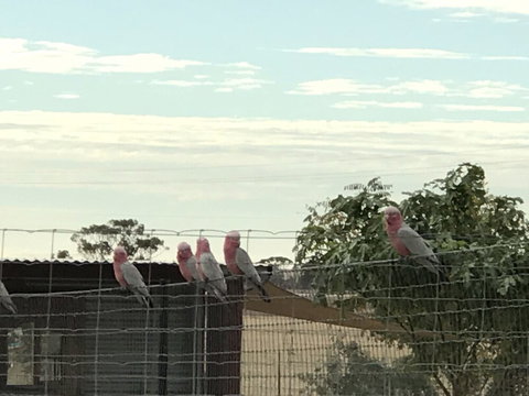 The Mains Guest House - Accommodation Main Beach 5