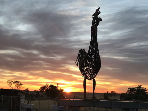 The Mains Guest House - Accommodation Main Beach 4