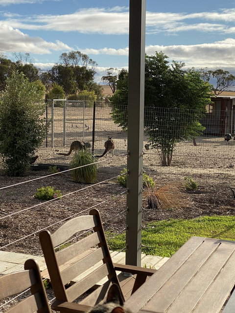 The Mains Guest House - Accommodation Main Beach 3