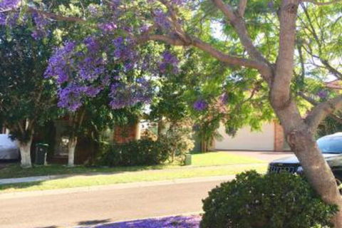 ULTRA SPACIOUS STYLISH HOME In PRESTONS SYDNEY - Accommodation Main Beach 7
