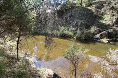 Alpine Streamside - Accommodation Main Beach 3