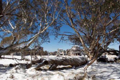 Howmans - Accommodation Main Beach 5