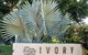 Ivory Villas - thumb 4