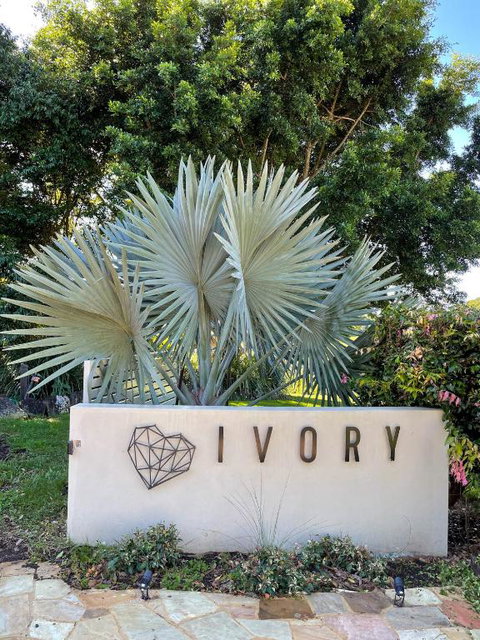 Ivory Villas - Accommodation Main Beach 4