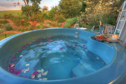 Maleny Homestead & Cottage - Accommodation Main Beach 4