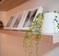 Trendy Modern 2BD Apartment Close to Beach  City - Accommodation Main Beach