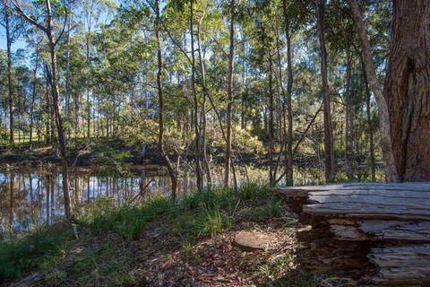 Oakey Creek Private Retreat - Accommodation Main Beach 2