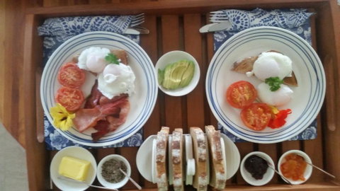 Beezneez B & B - Accommodation Main Beach 1