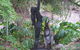 Bruny Island Accommodation Bruny Island Varuna - thumb 5