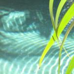 Artizen - Accommodation Main Beach 0