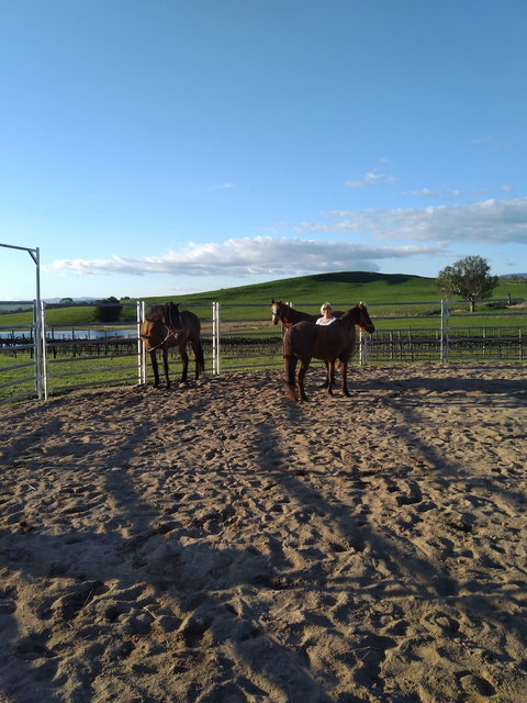 Altitude221 - Accommodation Main Beach 2