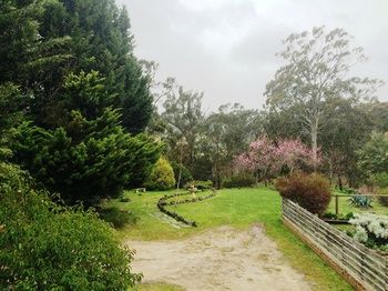 Acacia House Retreat Daylesford - Accommodation Main Beach 1