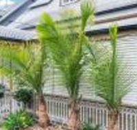 One Thornbury Boutique B  B - Accommodation Main Beach