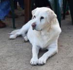 Nazaaray Beach House - Accommodation Main Beach