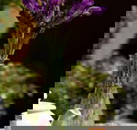 At Eleven - Accommodation Main Beach