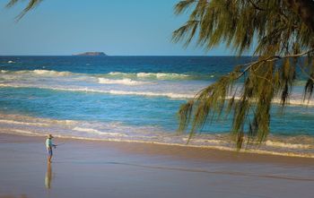 Pacific Royale Holiday Apartment 313 - Accommodation Main Beach 2
