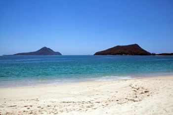 Radburn Unit 2 17 Ondine Close - Accommodation Main Beach 4