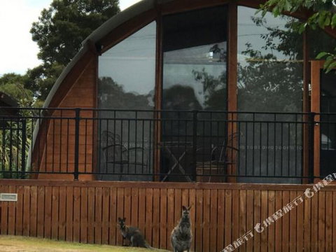 Bruny Island Accommodation 43 Degrees Beachside Studio Spa Apartments (1) - Accommodation Main Beach 1