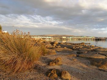 Port Lincoln Holiday Houses - Accommodation Main Beach 4