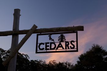 The Cedars Cottages - Accommodation Main Beach 0