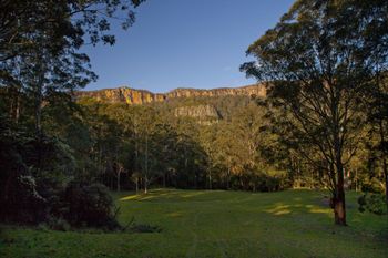 The Cedars Cottages - Accommodation Main Beach 3