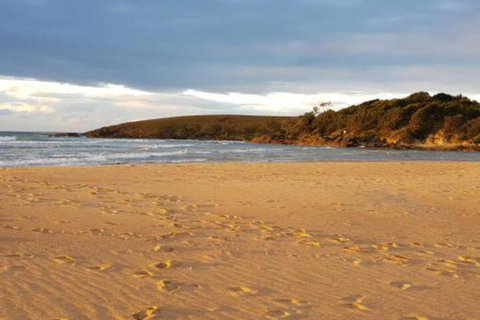 Eagles Loft - Accommodation Main Beach 5