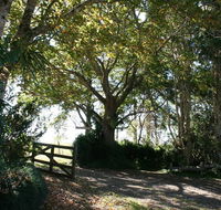 Maleny Mountain Retreat - Accommodation Main Beach