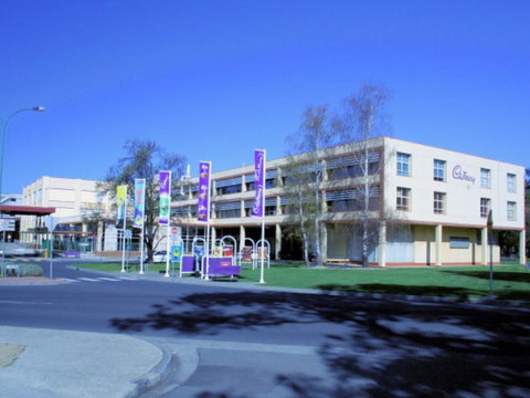 Mellowtrees Accommodation - Accommodation Main Beach 4