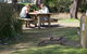 Lorne Foreshore Caravan Park - thumb 4