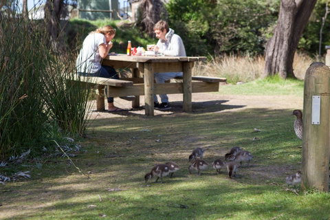 Lorne Foreshore Caravan Park - Accommodation Main Beach 4