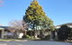 Mittagong Motel - thumb 6
