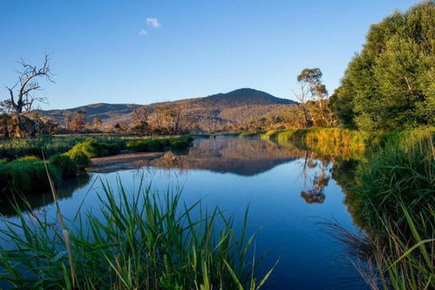 Snowy River Cabins - Accommodation Main Beach 3