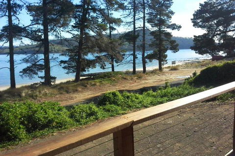 Bruny Island Beachside Accommodation - Accommodation Main Beach 1