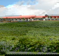 Turners Vineyard Motel and Function Centre - Accommodation Main Beach