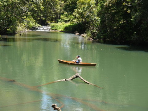 Figtree Getaway - Accommodation Main Beach 3