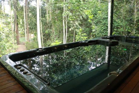 Figtree Getaway - Accommodation Main Beach 2