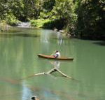 Figtree Getaway - Accommodation Main Beach