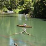 Figtree Getaway - Accommodation Main Beach 0