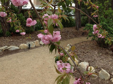 Silverleaf Cottage - Accommodation Main Beach 2