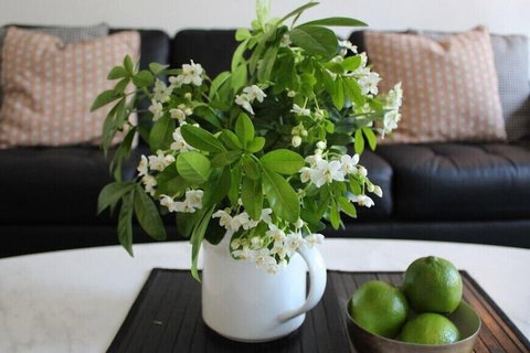 Centrepoint Units Heidelberg - Accommodation Main Beach 2